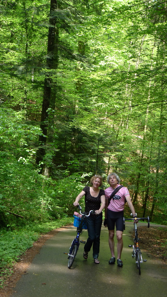 In the Woods