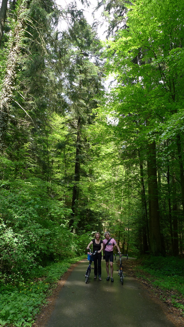 In the Woods (2)