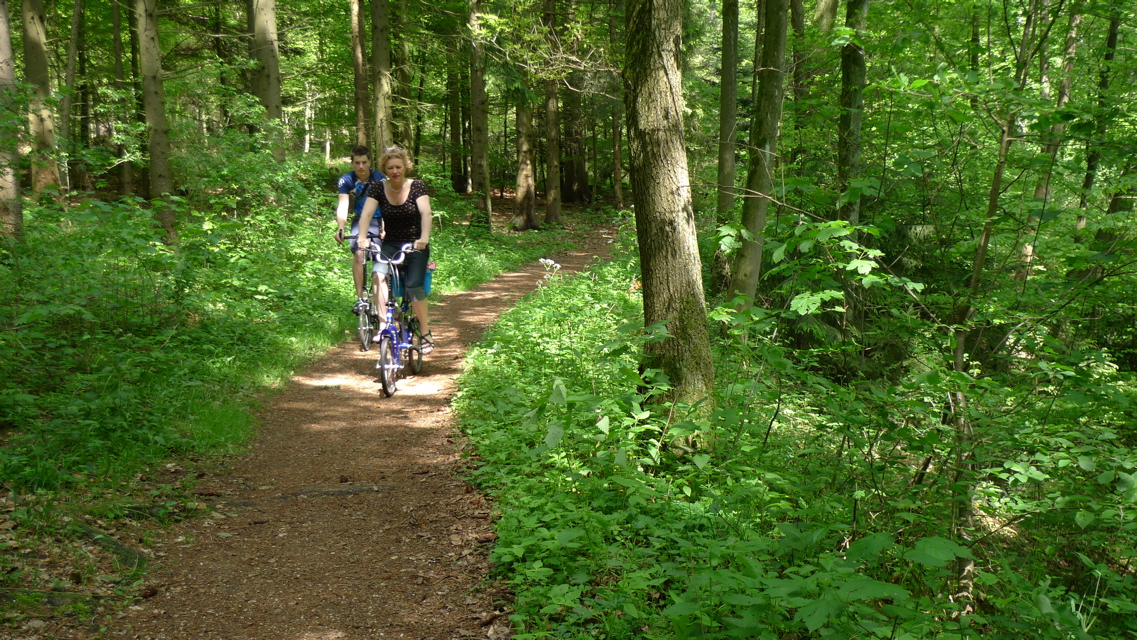 Riding in the Woods