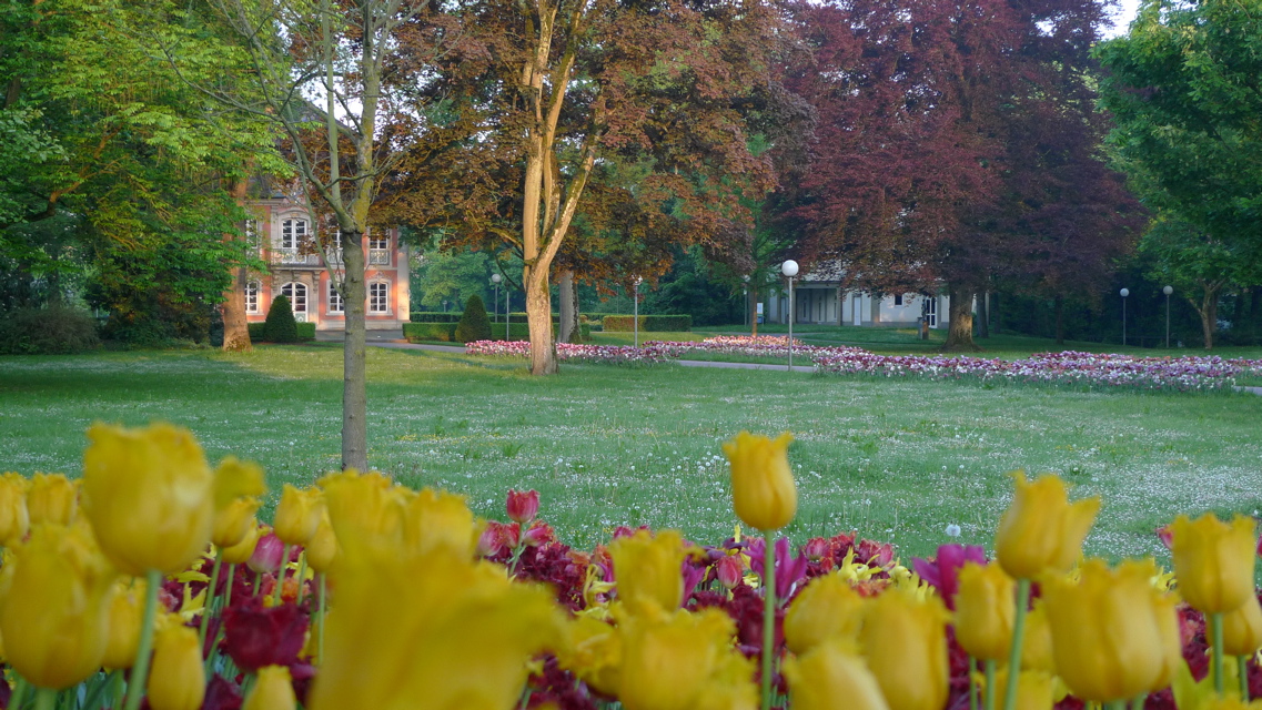 Stadtgarten