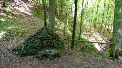 In the woods