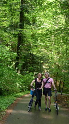In the Woods