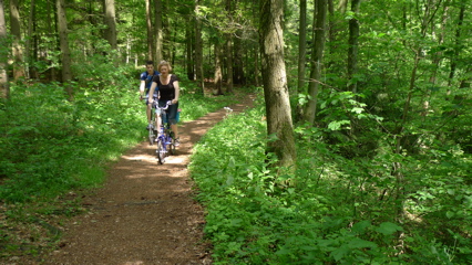 Riding in the Woods