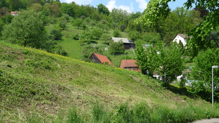 Barns