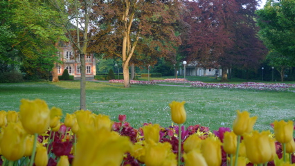 Stadtgarten