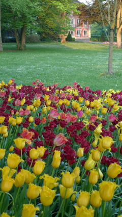 Stadtgarten